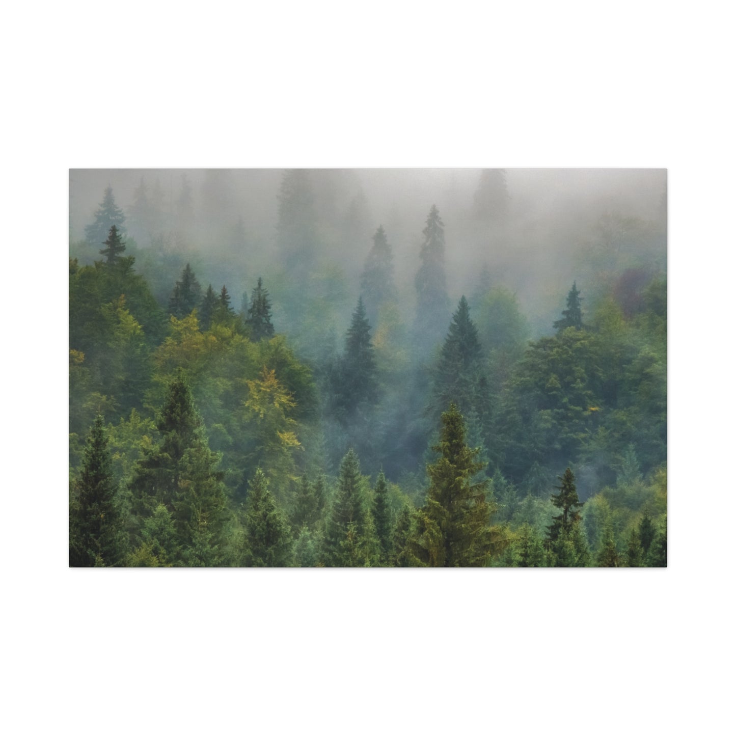 Forest Matte Canvas, Stretched, 1.25", Matte Forest Green - Ultra Line