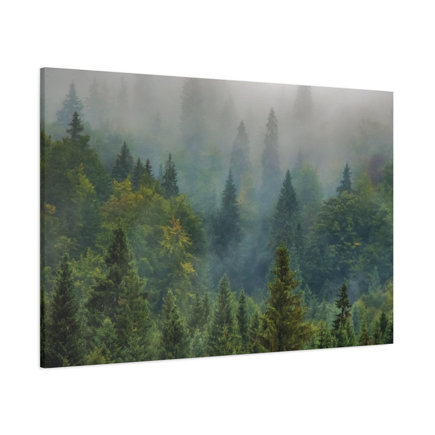Forest Matte Canvas, Stretched, 1.25", Matte Forest Green - Ultra Line