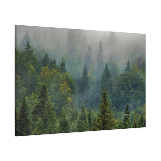 Forest Matte Canvas, Stretched, 1.25", Matte Forest Green - Ultra Line
