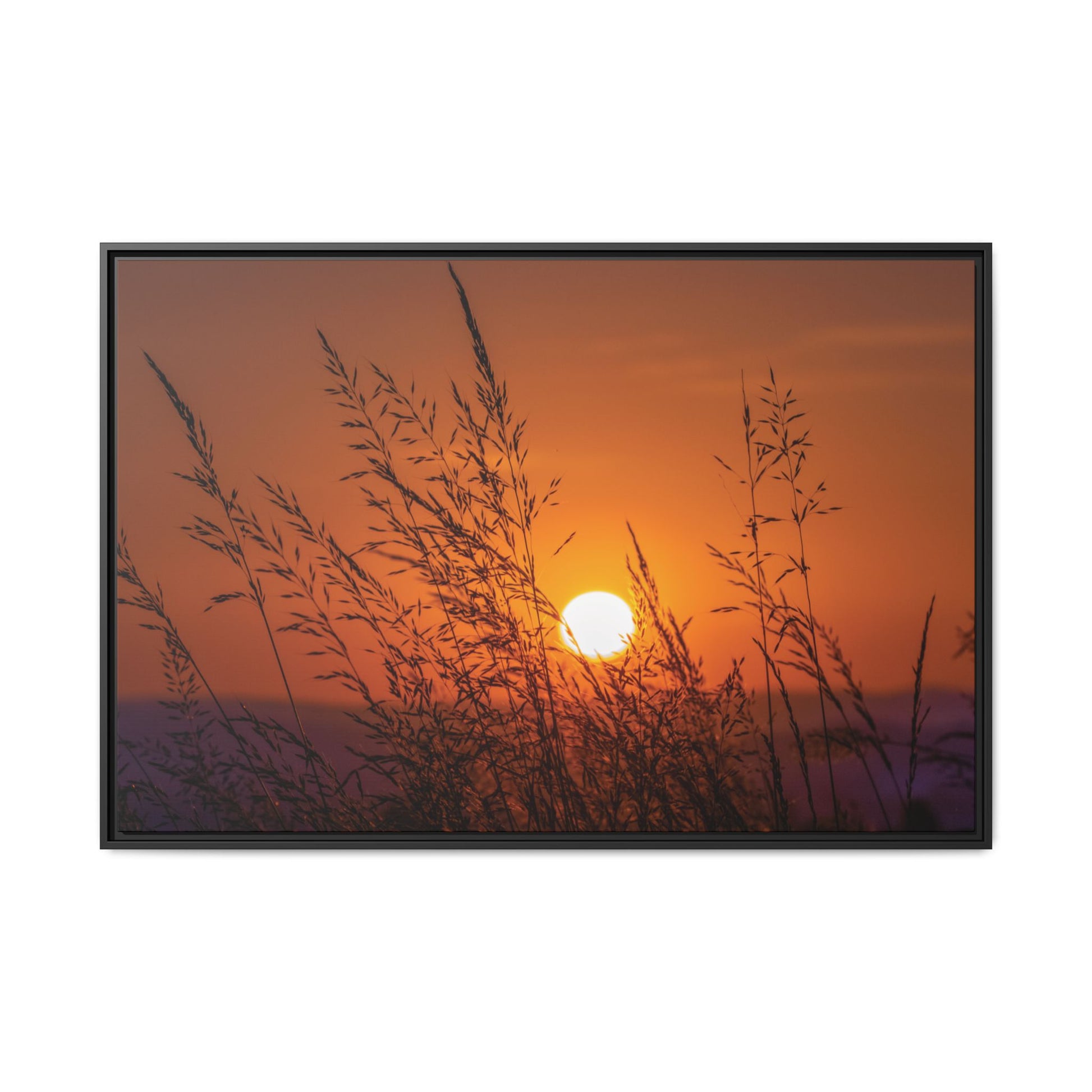 Sunsetting Matte Canvas, Black Frame, Matte Canvas - Ultra Line